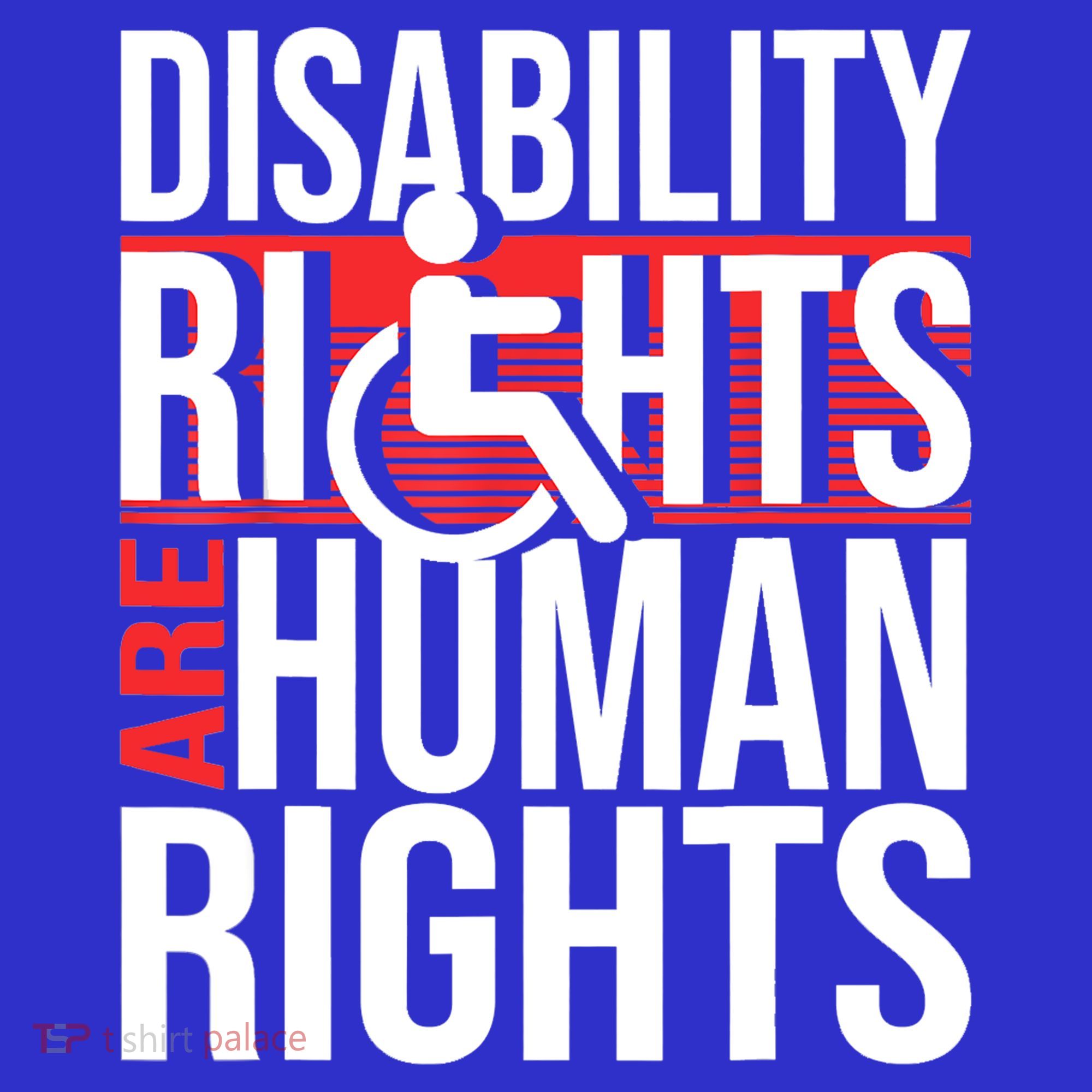 Disability Rights Are Human Rights Gift Funny Wheelchair Handicap Gift Visor