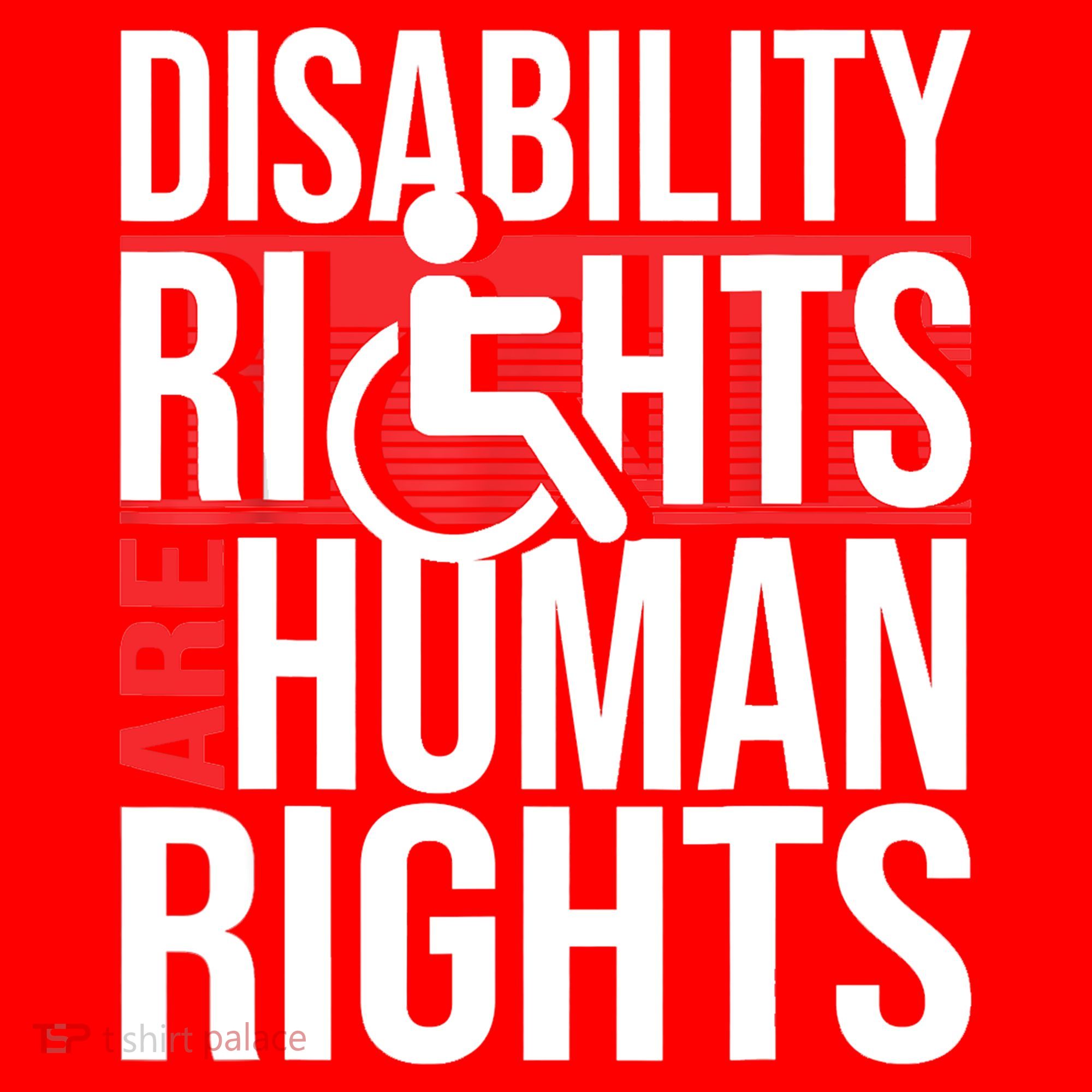 Disability Rights Are Human Rights Gift Funny Wheelchair Handicap Gift Santa Hat