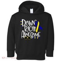 Down Right Awesome Down Syndrome Awareness Ribbon Toddler Hoodie thumb 0