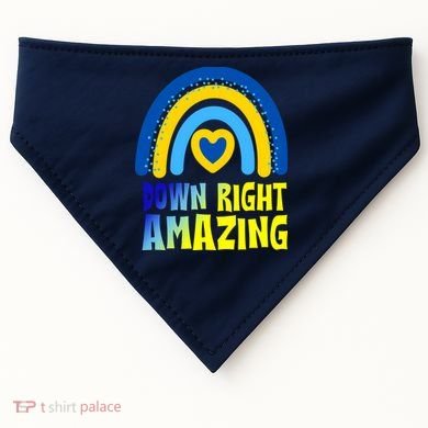Down Right Amazing Rainbow Down Syndrome Awareness USA-Made Doggie Bandana
