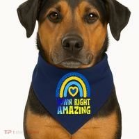 Down Right Amazing Rainbow Down Syndrome Awareness USA-Made Doggie Bandana thumb 1