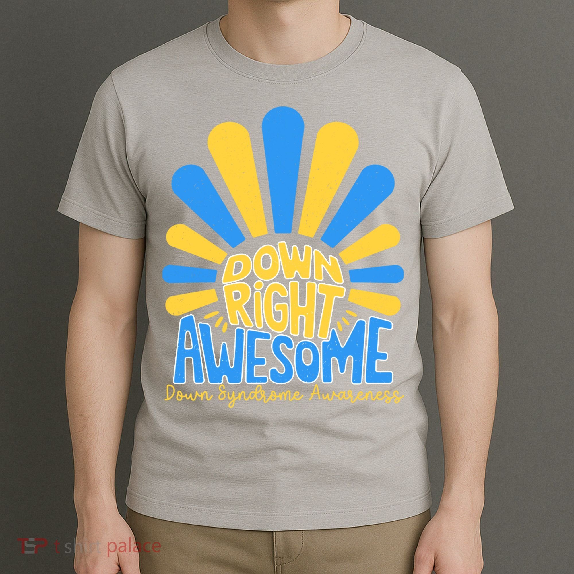 Down Right Awesome World Down Syndrome Awareness T-Shirt