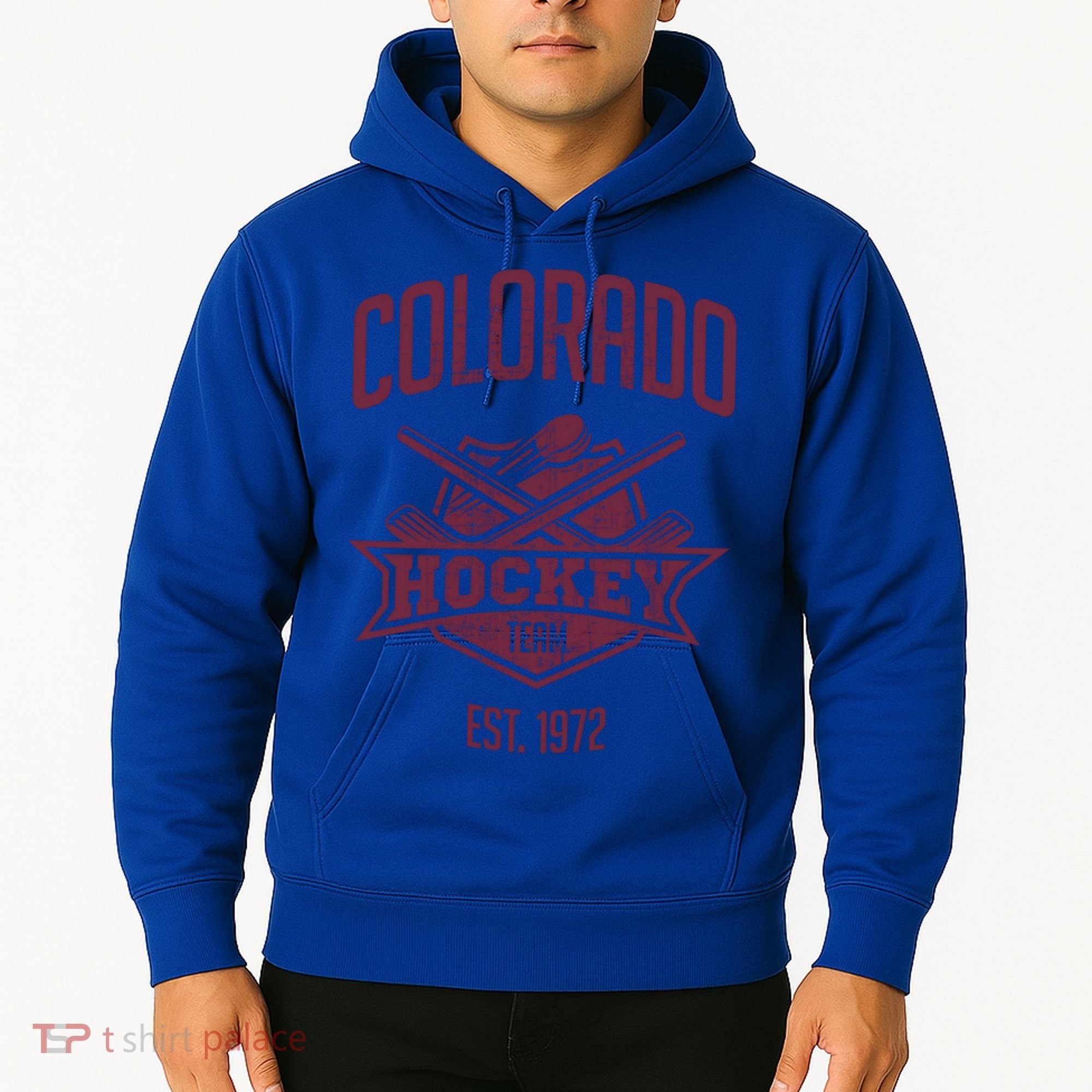 Distressed Retro Avalanche Party Tailgate Gameday Fan Gift Hoodie