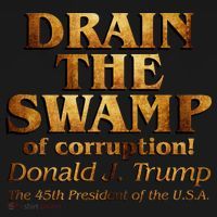 Drain The Swamp of Corruption! Donald Trump 45th President Women's Tank Top thumb 5