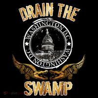 Drain The Swamp Washington DC Alligator Logo Trump Women's Hoodie thumb 2