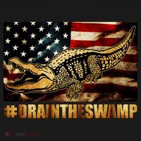 Drain The Swamp Washington DC Donald Trump President Women's Hoodie thumb 2