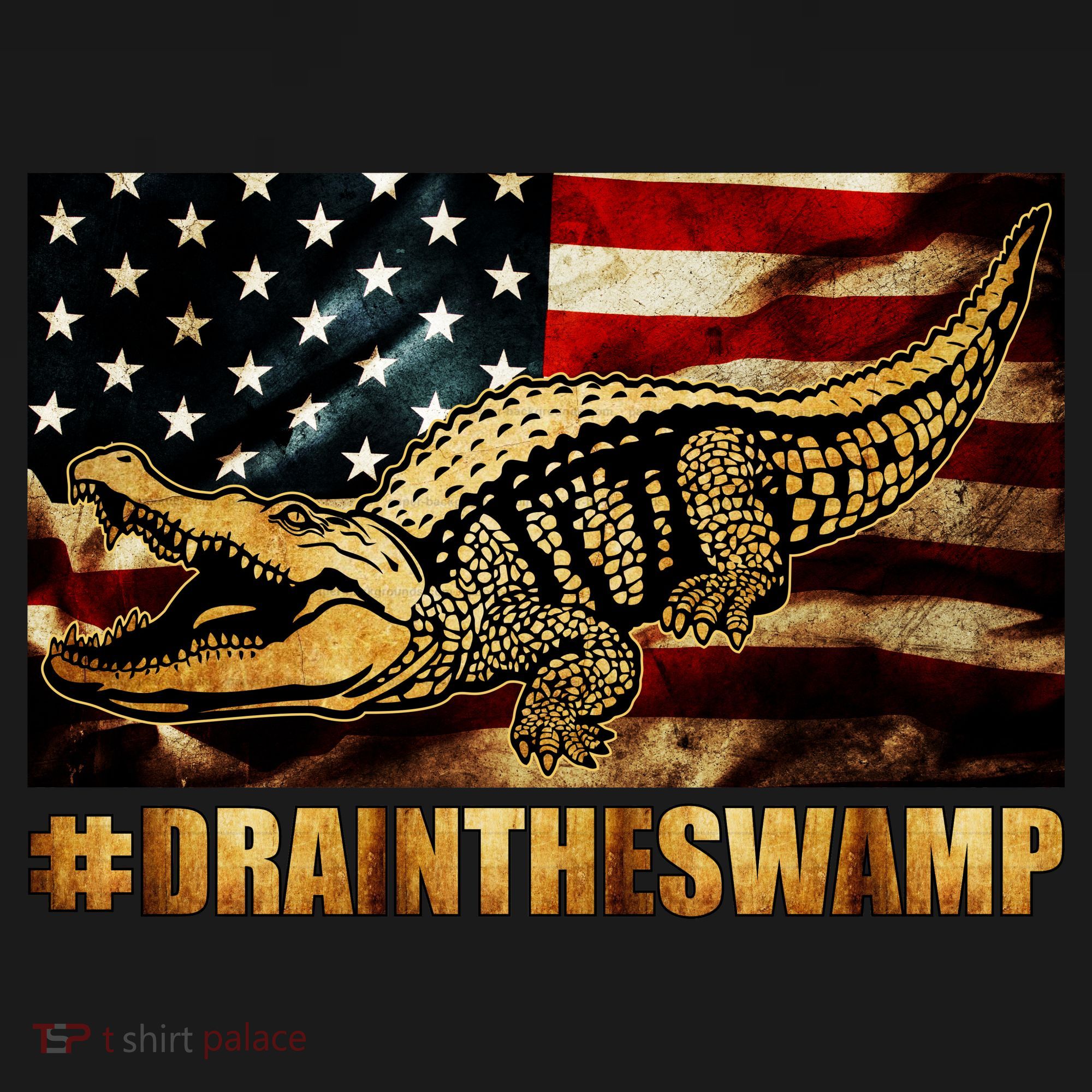 Drain The Swamp Washington DC Donald Trump President Women's Hoodie