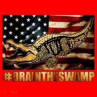 Drain The Swamp Washington DC Donald Trump President Santa Hat thumb 1