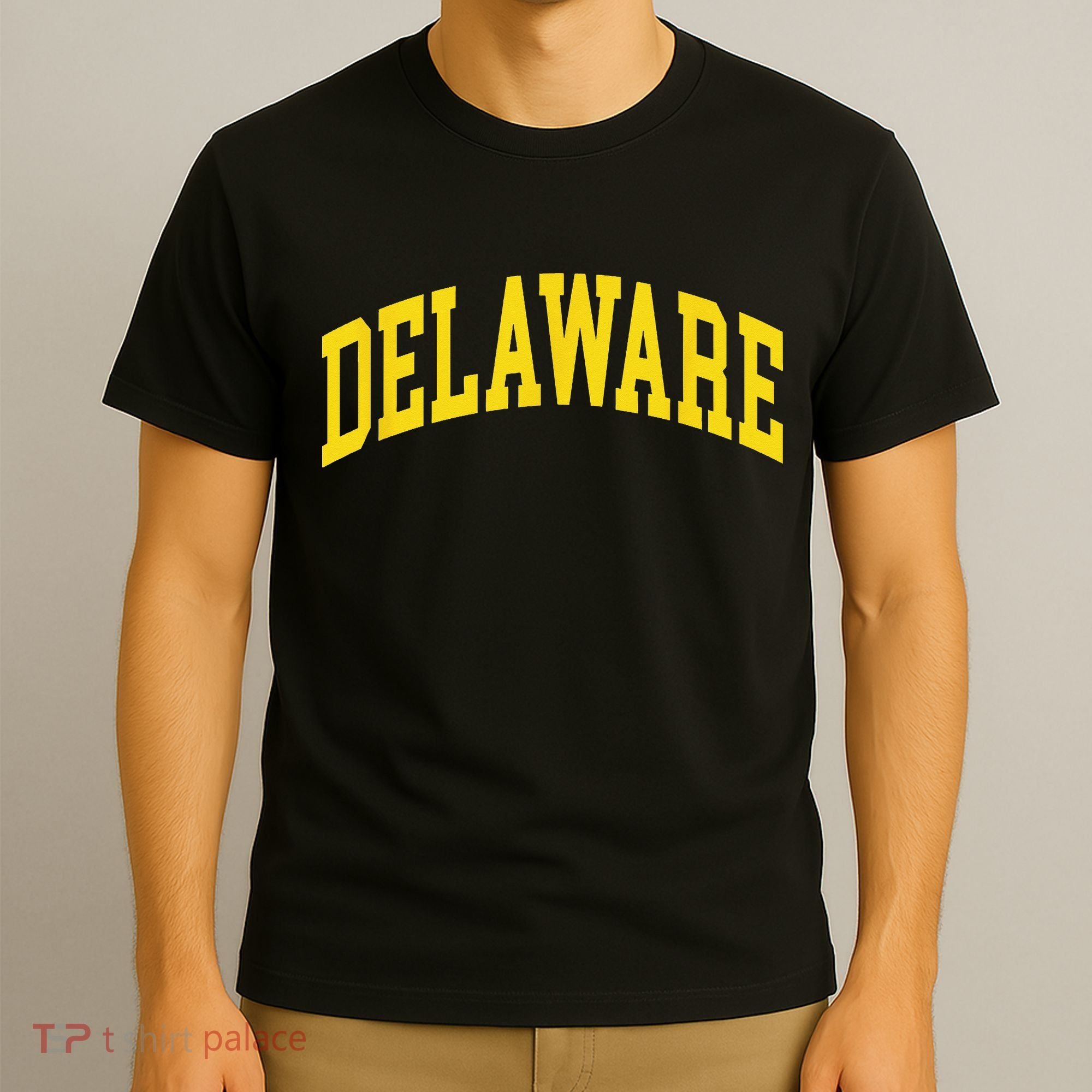 Delaware Retro DE Vintage Throwback T-Shirt