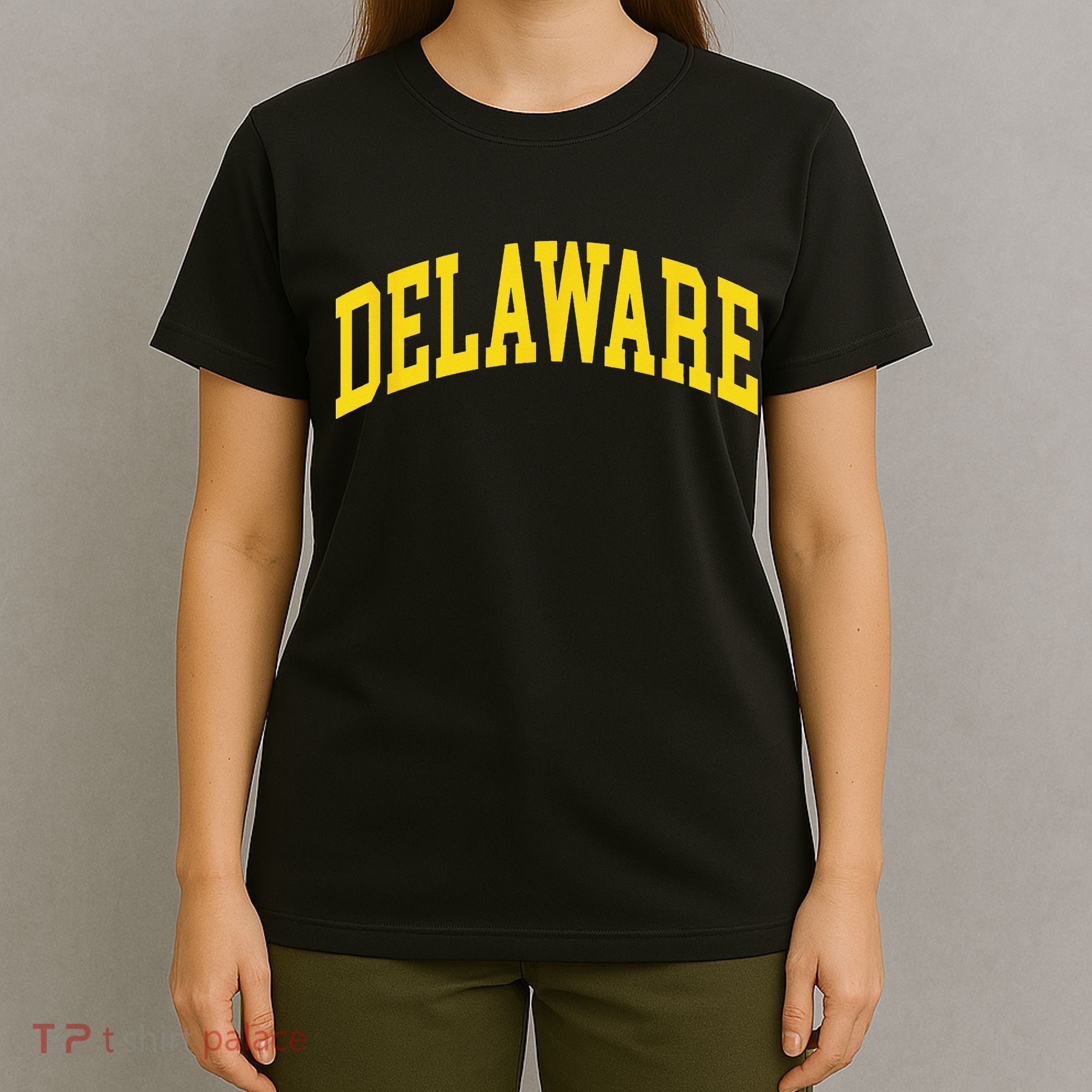 Delaware Retro DE Vintage Throwback T-Shirt