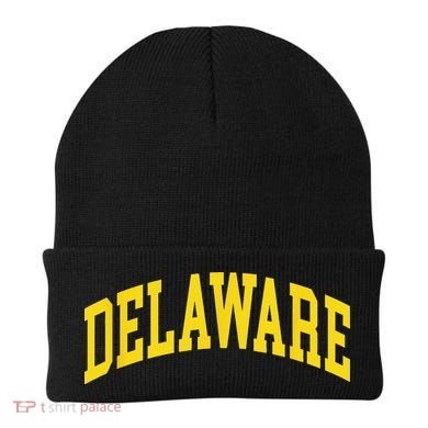Delaware Retro DE Vintage Throwback Beanie