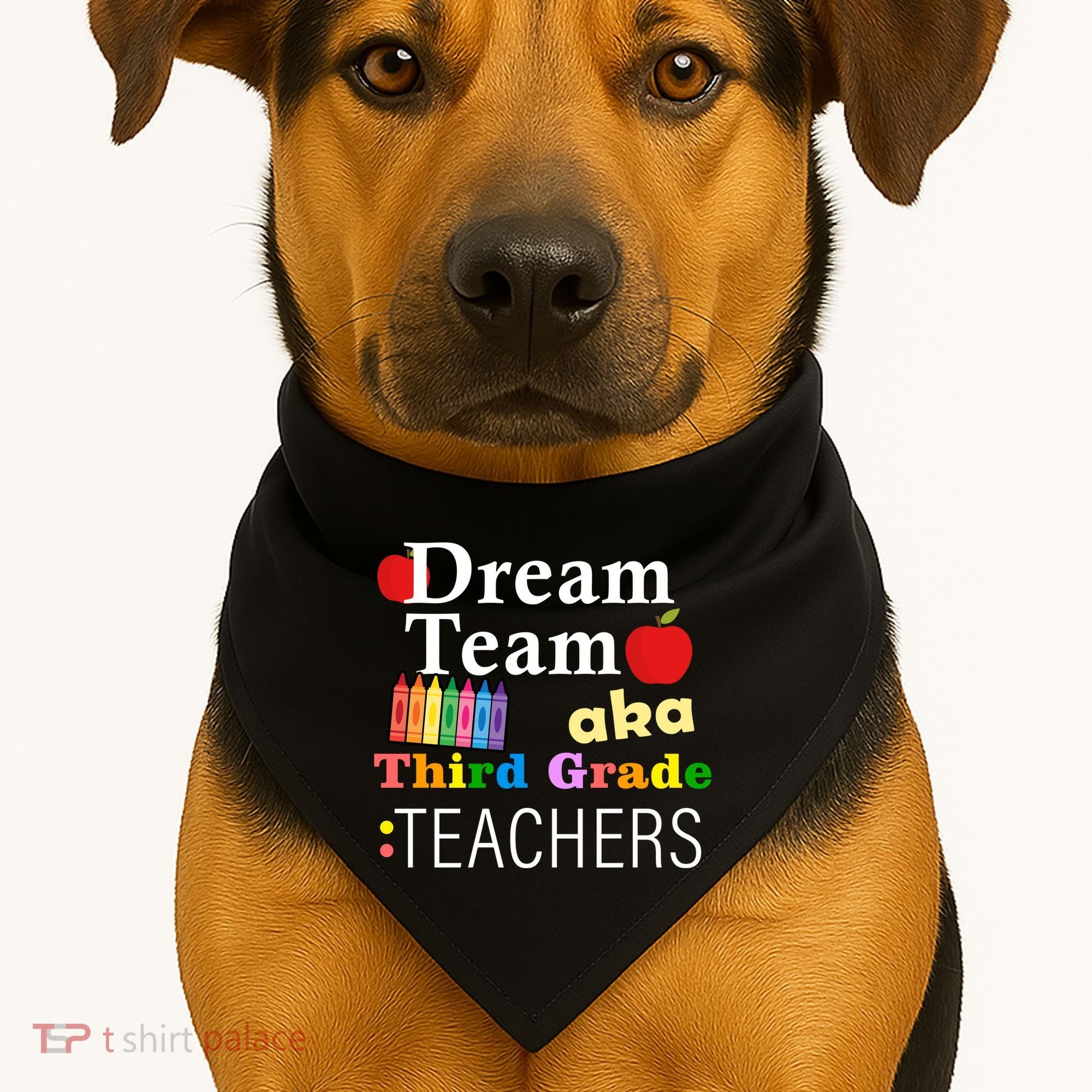 Dream Team Aka Third Grade Teachers USA-Made Doggie Bandana
