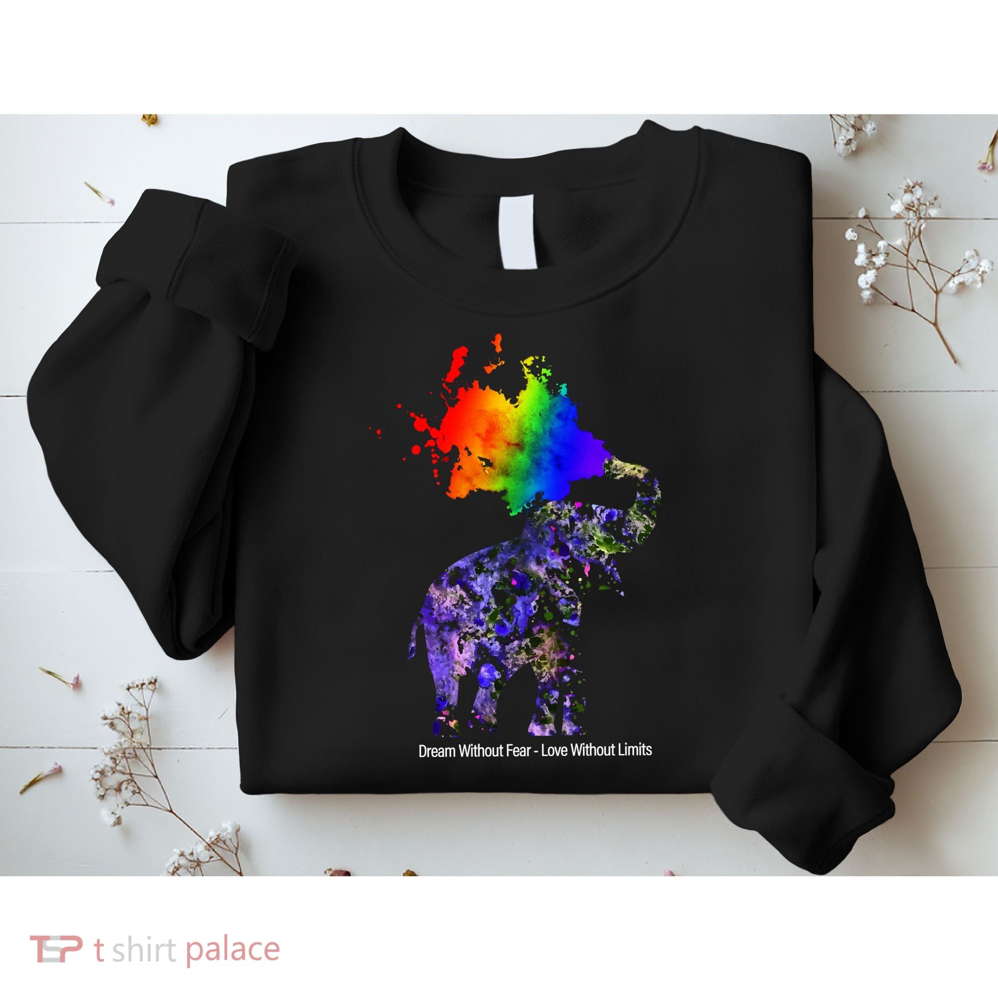 Dream Without Fear Elephant LGBT Sweatshirt