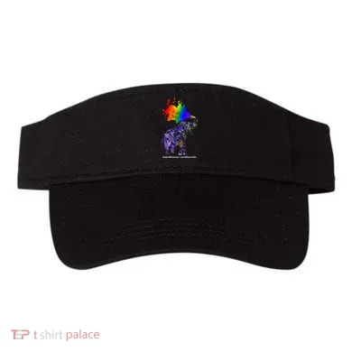 Visor