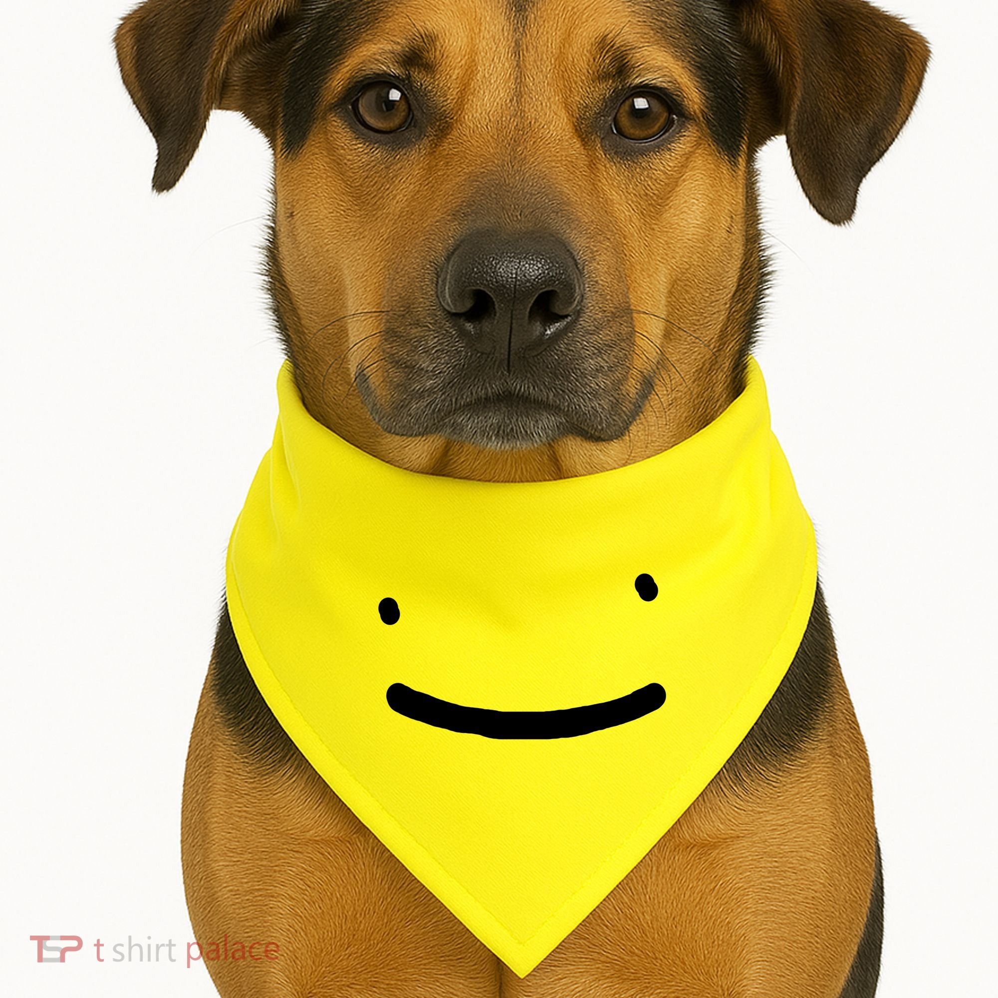 Dreamy Smiley Face USA-Made Doggie Bandana