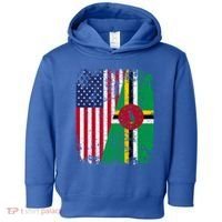 Dominican Roots Half American Flag Dominica Flag Gift Toddler Hoodie thumb 0