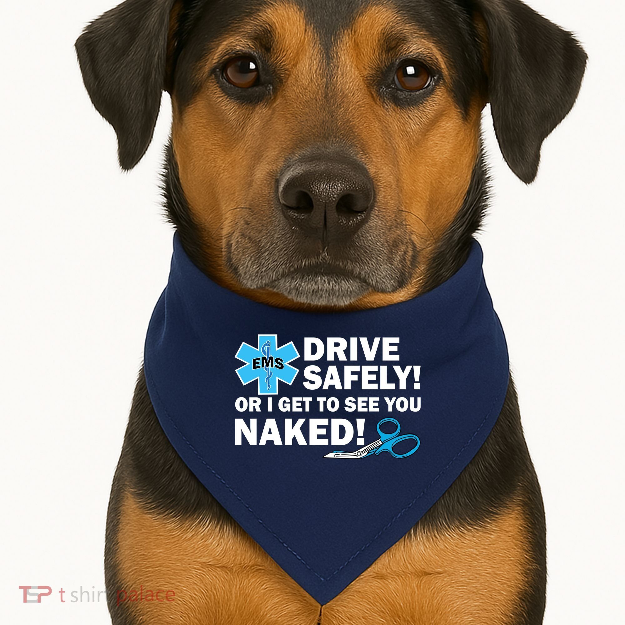 Drive Safely Or I Get To See You Naked EMS USA-Made Doggie Bandana