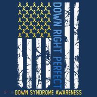 Down Right Perfect Yellow & Blue American Flag Down Syndrome Kids Sweatshirt thumb 2