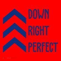Down Right Perfect Down Syndrome Awareness Santa Hat thumb 1