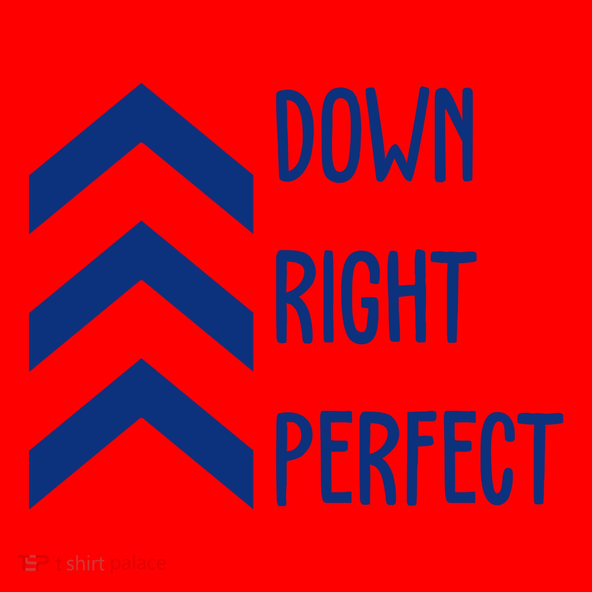 Down Right Perfect Down Syndrome Awareness Santa Hat