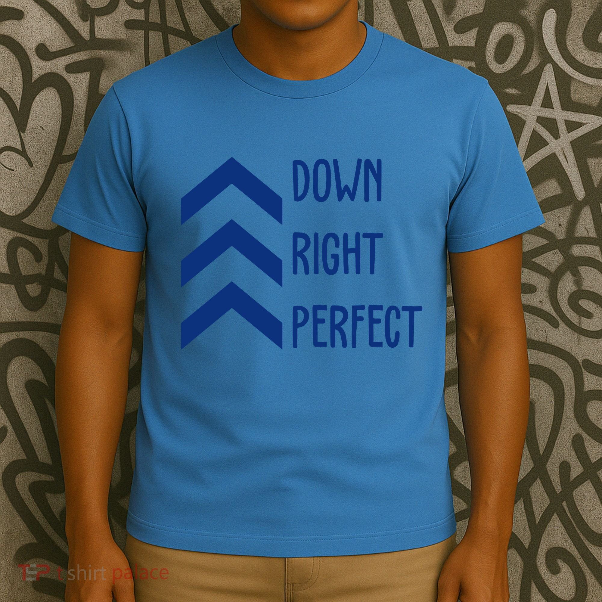 Down Right Perfect Down Syndrome Awareness T-Shirt