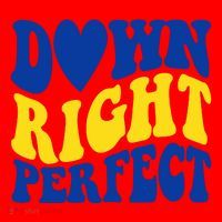 Down Right Perfect Down Syndrome Awareness Santa Hat thumb 1
