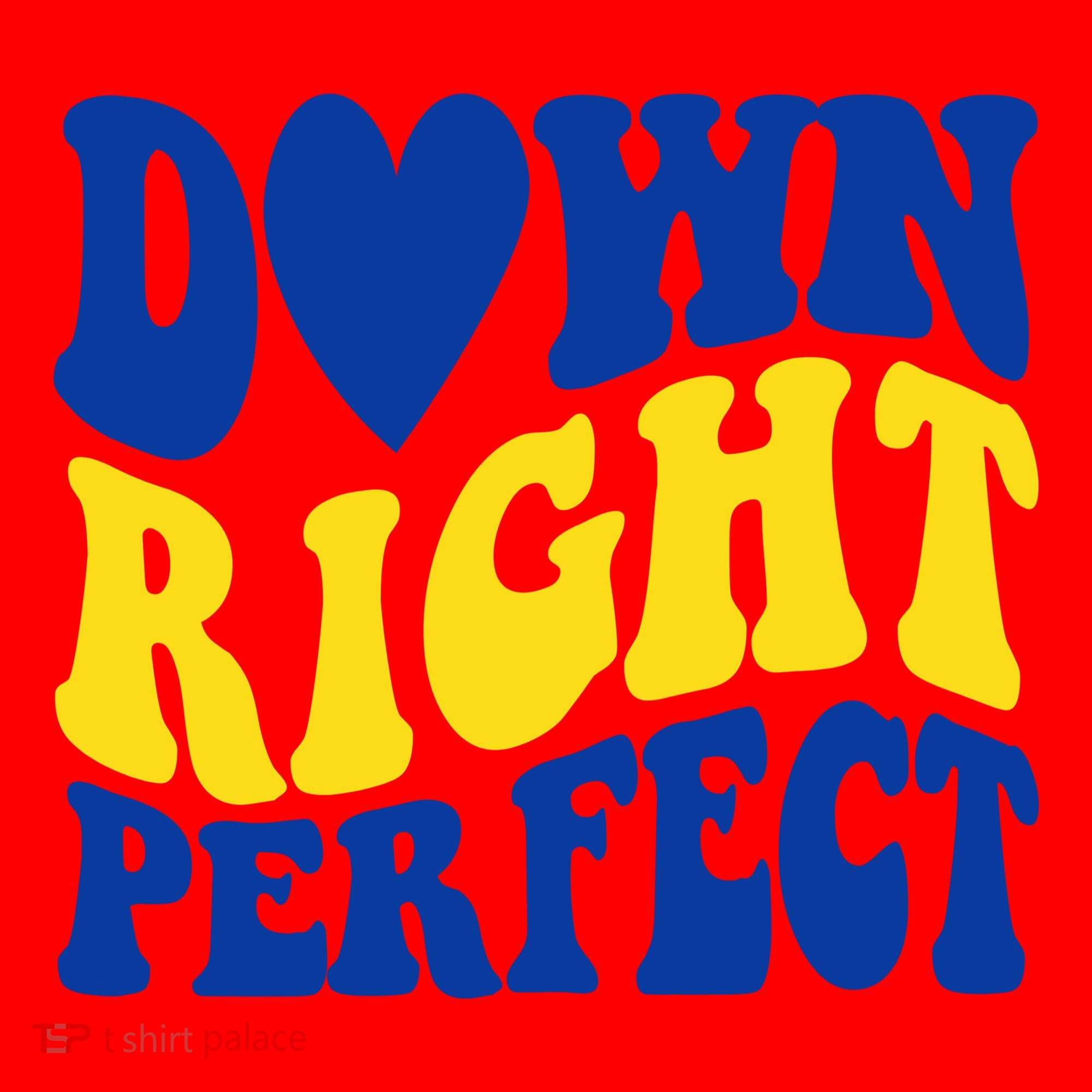 Down Right Perfect Down Syndrome Awareness Santa Hat