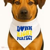 Down Right Perfect Down Syndrome Awareness USA-Made Doggie Bandana thumb 1