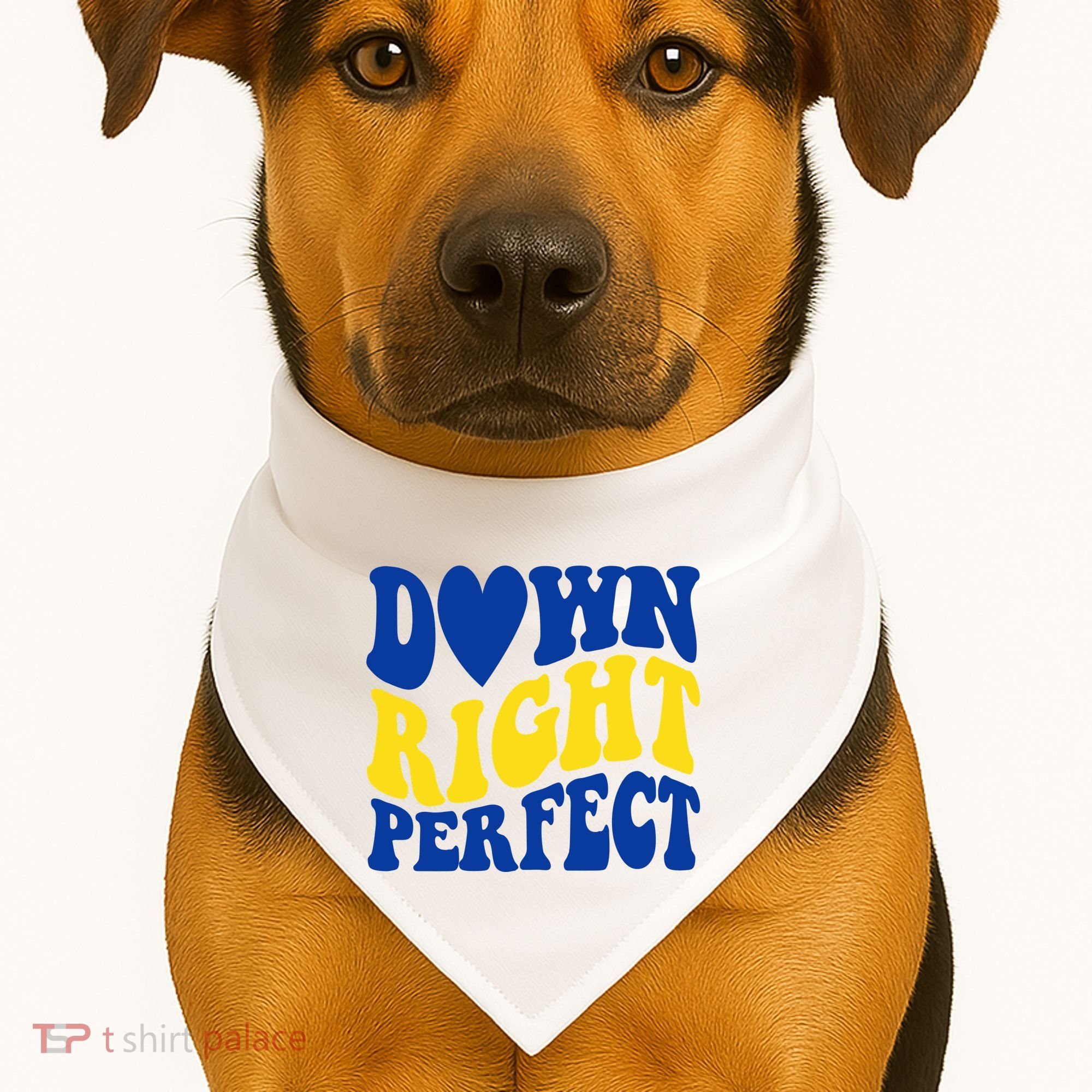 Down Right Perfect Down Syndrome Awareness USA-Made Doggie Bandana