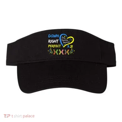 Visor