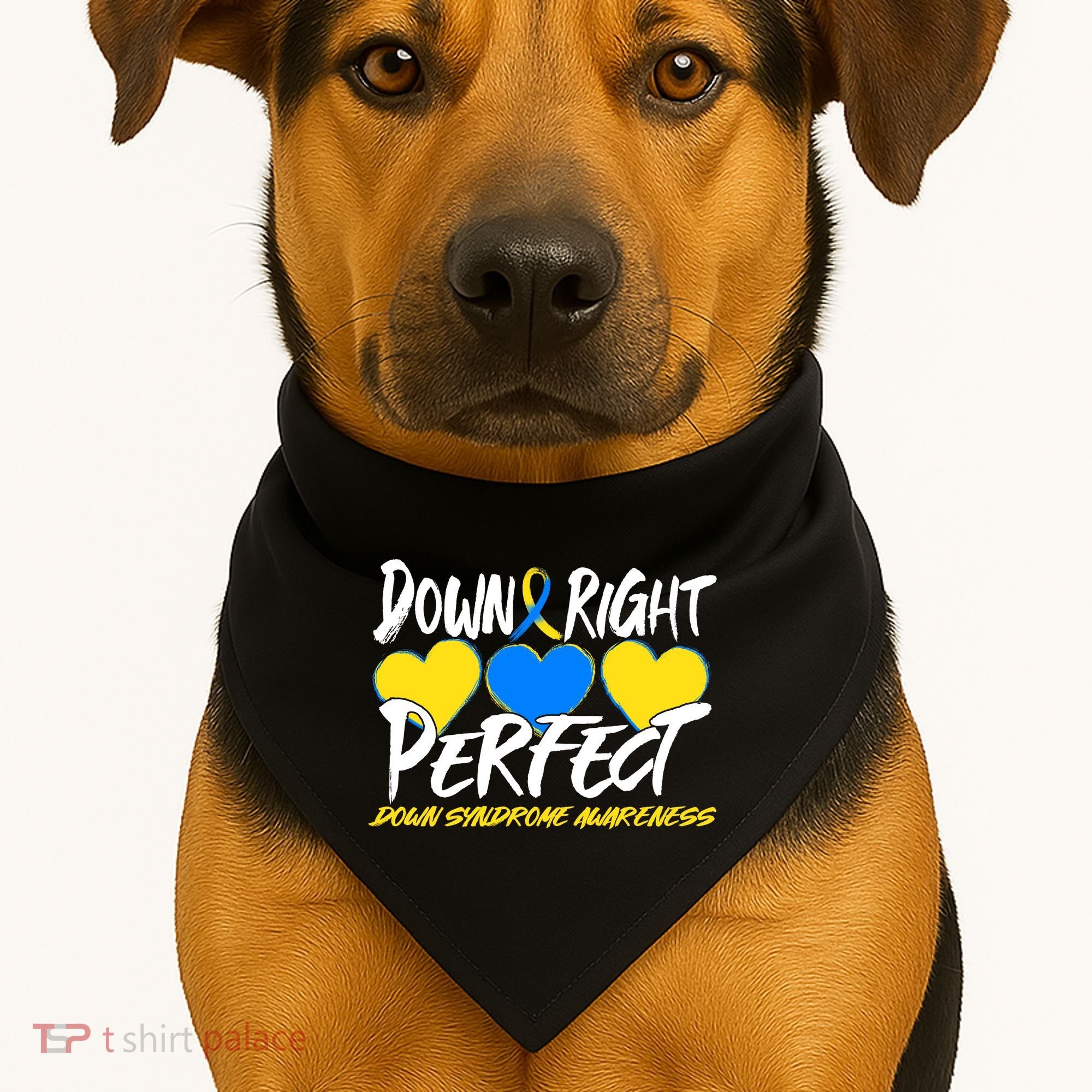 Down Right Perfect Down Syndrome Awareness USA-Made Doggie Bandana