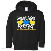 Down Right Perfect Down Syndrome Awareness Toddler Hoodie thumb 0