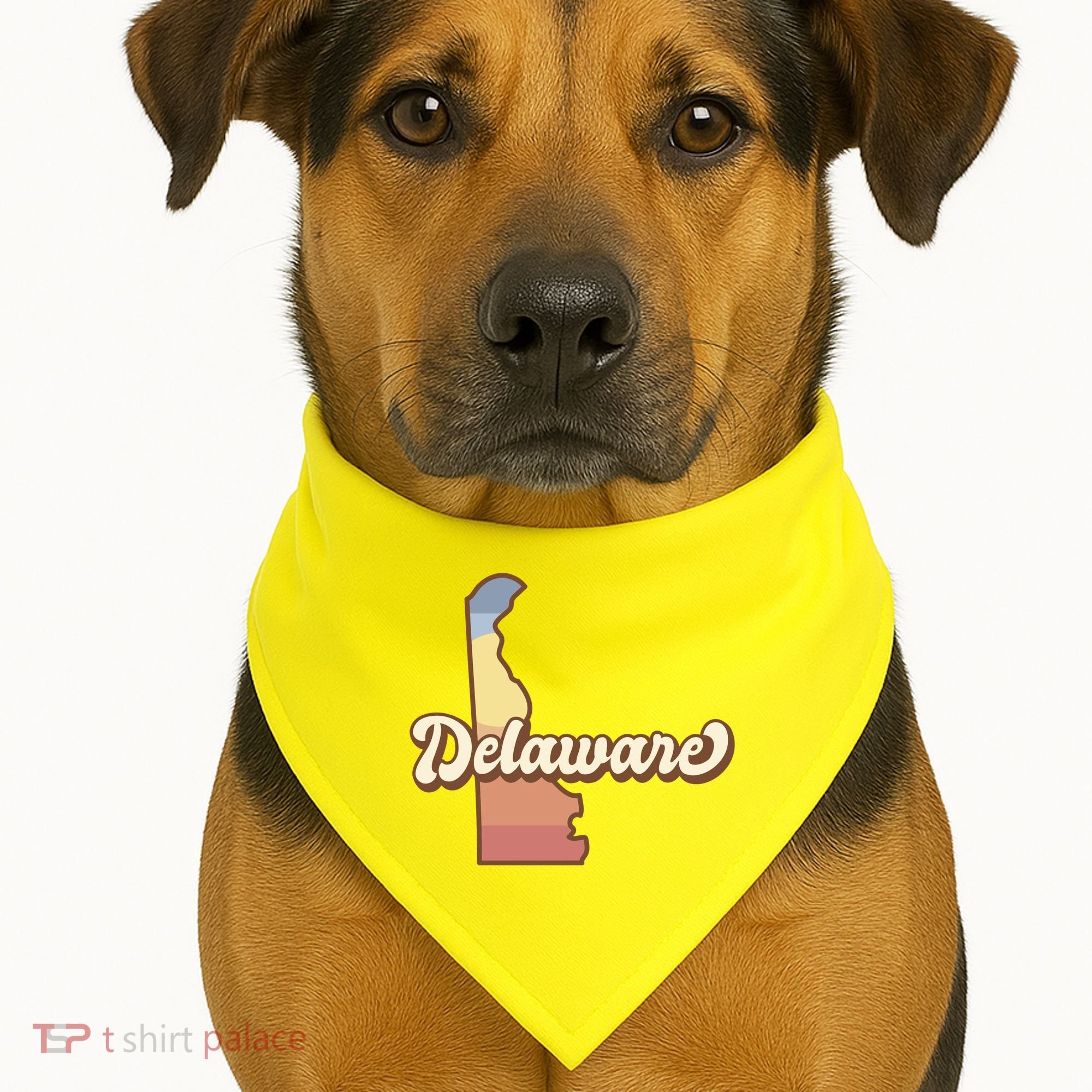 Delaware Retro Sunset USA-Made Doggie Bandana