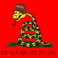 Dont Read To Me Santa Hat thumb 1