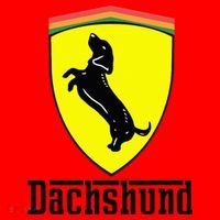 Dachshund Racing Yellow Santa Hat thumb 1
