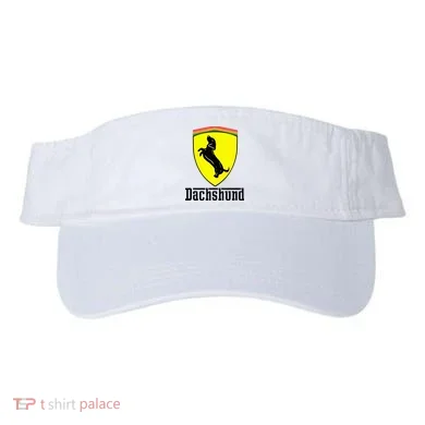 Visor