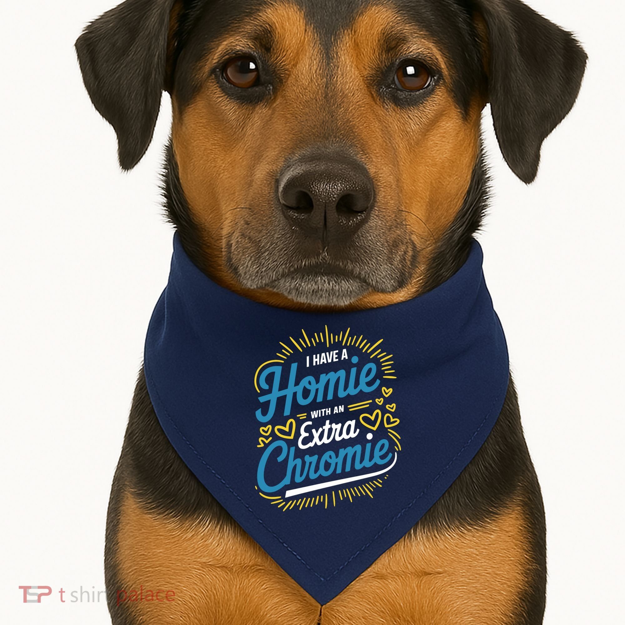 Down Syndrome Awareness I Have Homie With An Extra Chromie USA-Made Doggie Bandana