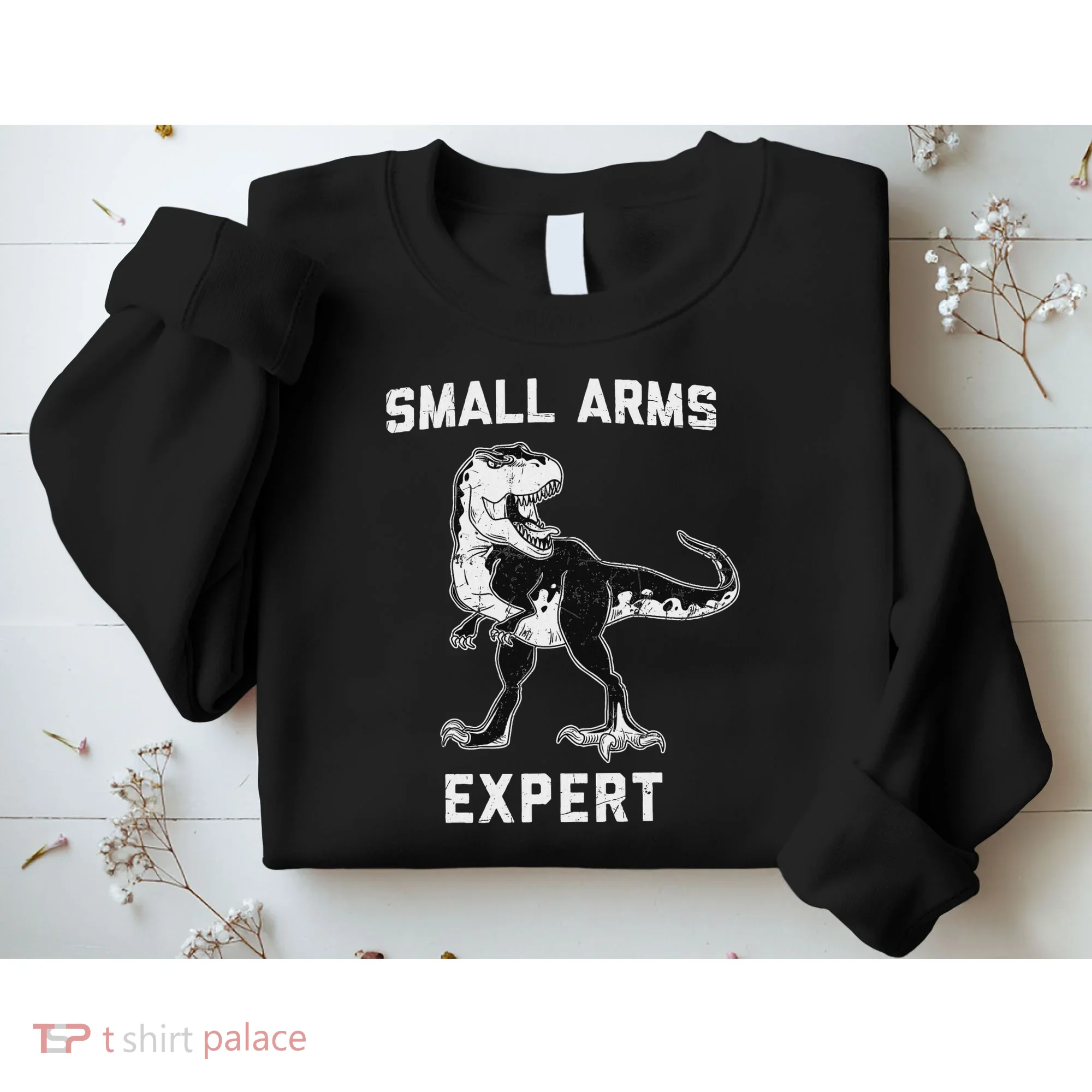 Dinosaur Small Arms Expert Sweatshirt