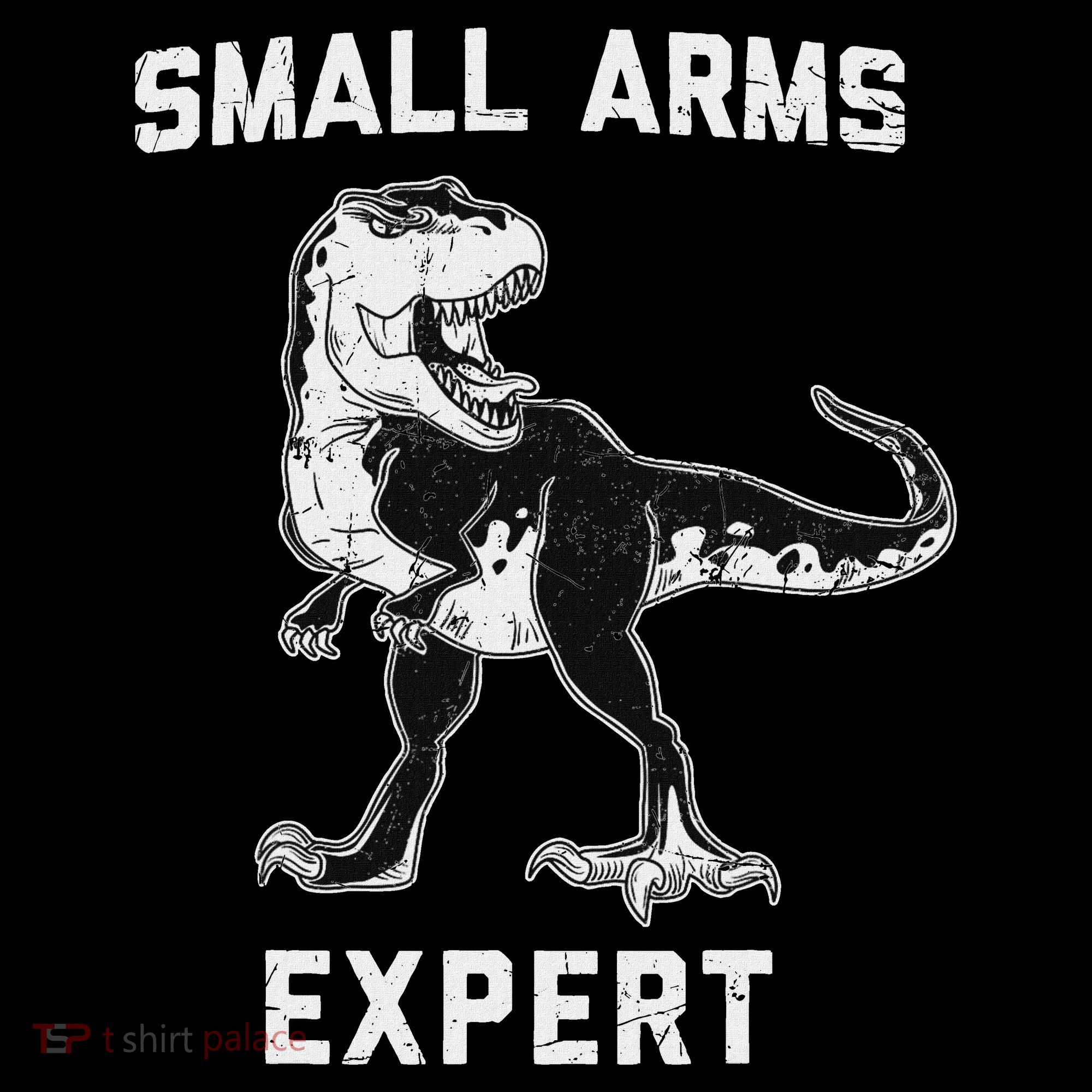 Dinosaur Small Arms Expert Women's Long Sleeve Shirt