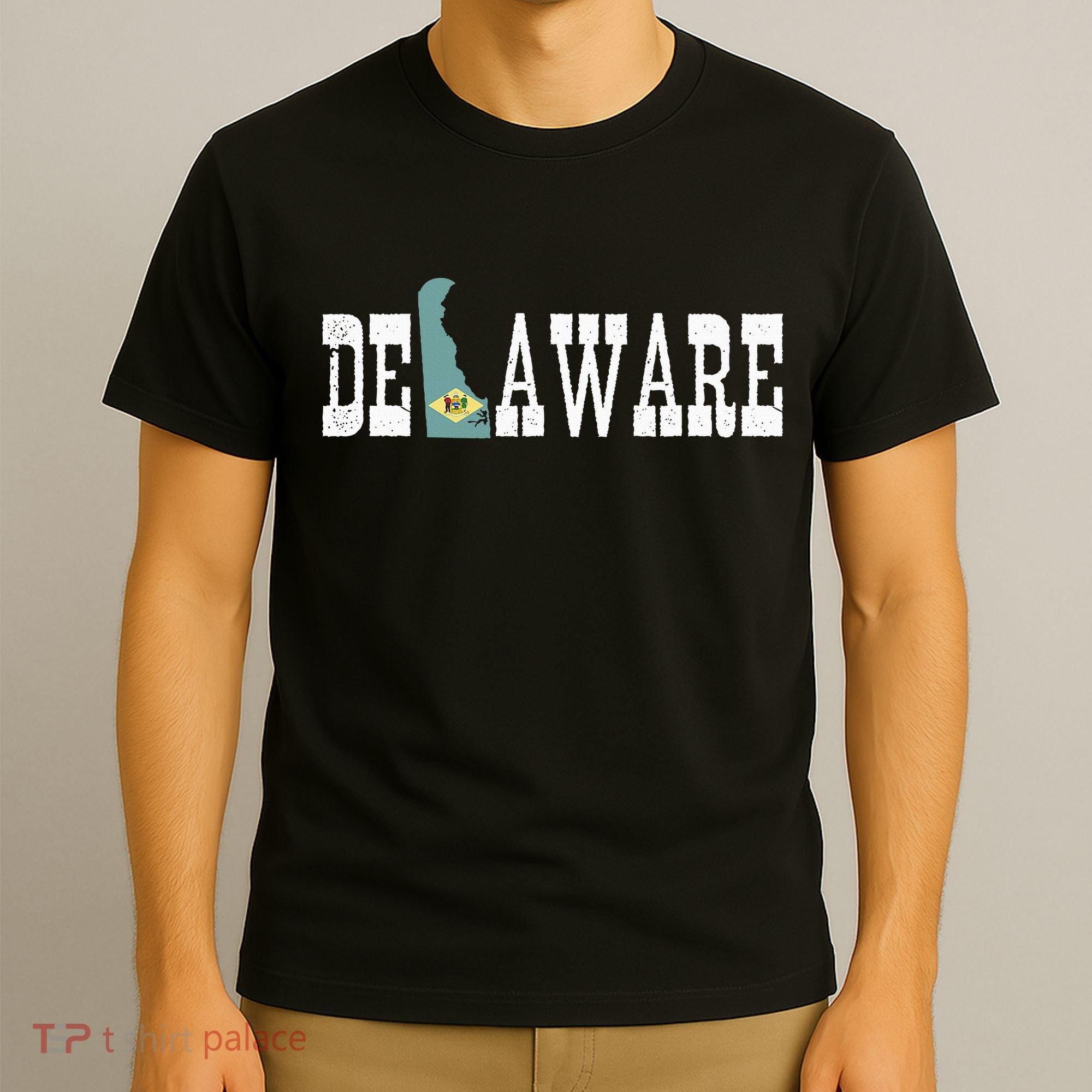 Delaware State And Delaware Flag With Pride For Delaware T-Shirt
