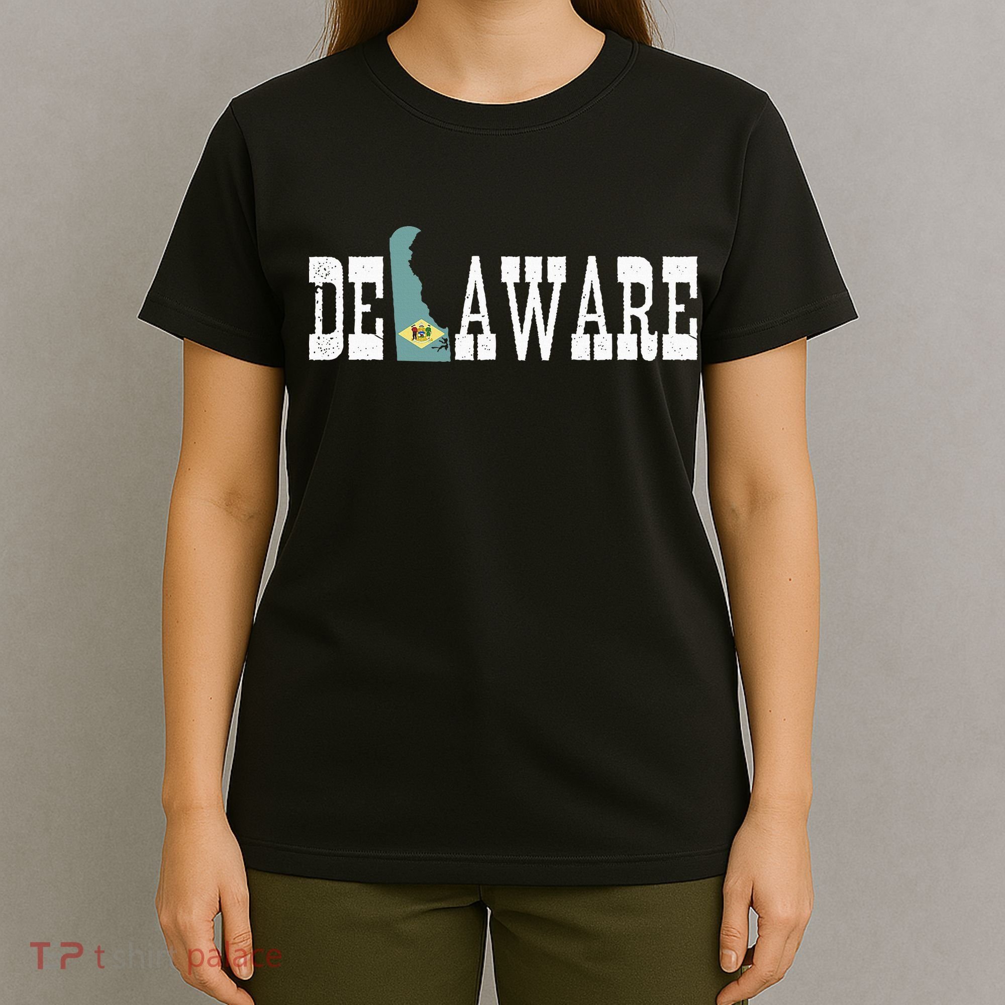 Delaware State And Delaware Flag With Pride For Delaware T-Shirt