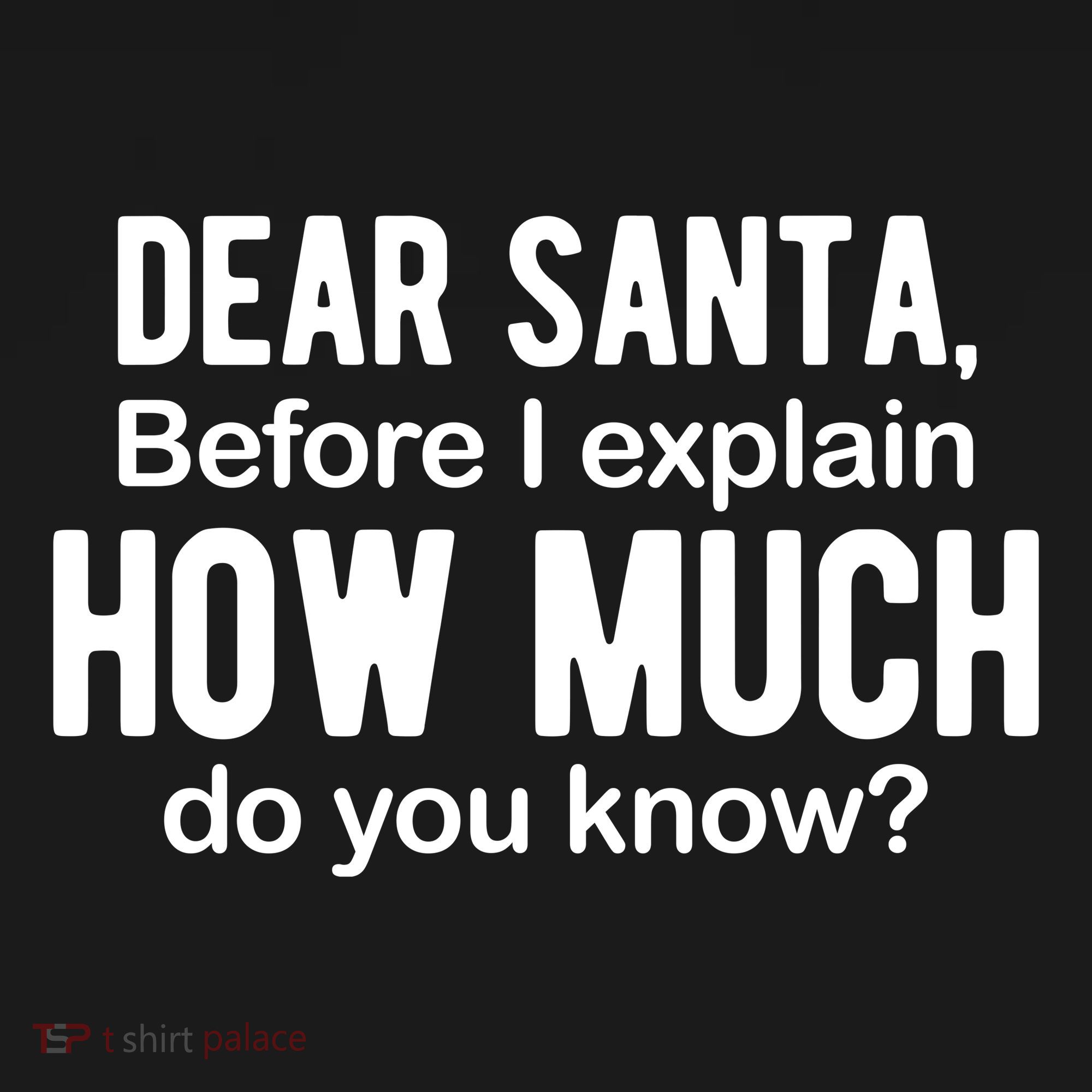 Dear Santa Before I Explain How Much Do You Know Funny Christmas Toddler Hoodie