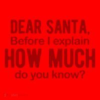 Dear Santa Before I Explain How Much Do You Know Funny Christmas Santa Hat thumb 1