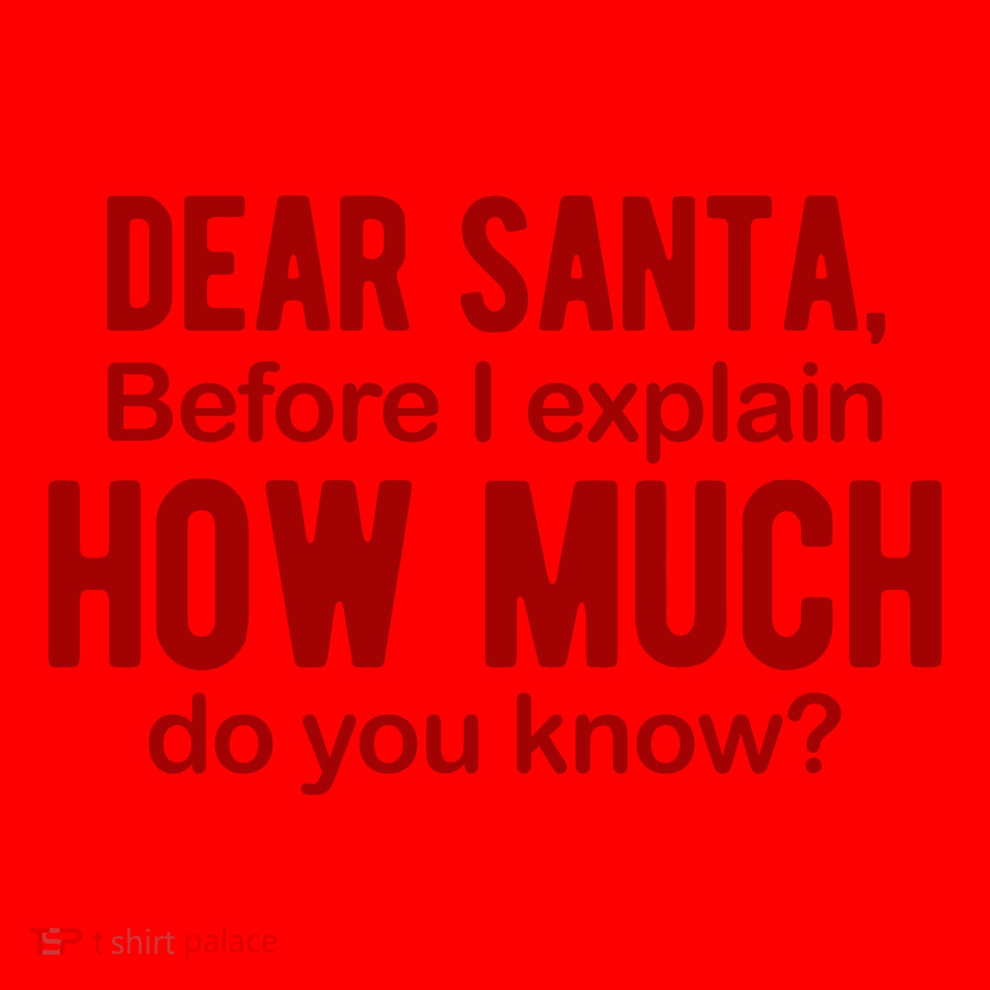 Dear Santa Before I Explain How Much Do You Know Funny Christmas Santa Hat