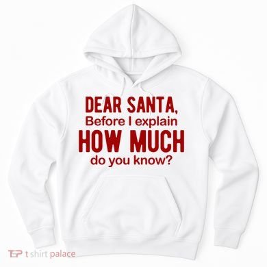 Dear Santa Before I Explain How Much Do You Know Funny Christmas Hoodie
