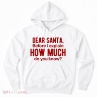 Dear Santa Before I Explain How Much Do You Know Funny Christmas Hoodie thumb 0