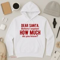 Dear Santa Before I Explain How Much Do You Know Funny Christmas Hoodie thumb 3