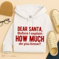 Dear Santa Before I Explain How Much Do You Know Funny Christmas Hoodie thumb 4