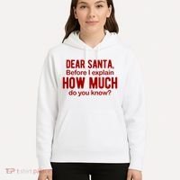 Dear Santa Before I Explain How Much Do You Know Funny Christmas Hoodie thumb 5