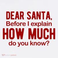 Dear Santa Before I Explain How Much Do You Know Funny Christmas Hoodie thumb 7